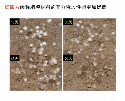 猫咪社区官网缓释肥膜材料养分释放性更优良