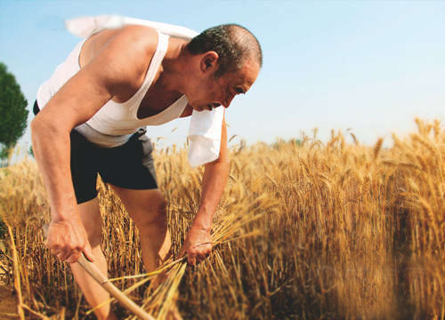 猫咪社区官网黄色猫咪网站猫咪成人APP官网助您丰收保无忧