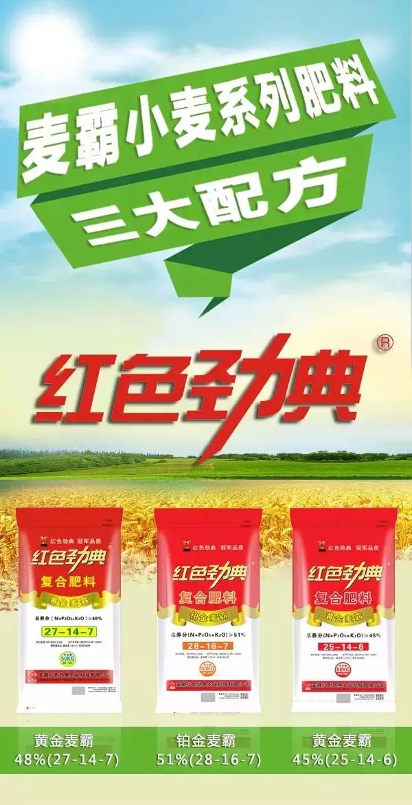 猫咪社区官网重磅推出麦霸“三剑客”.