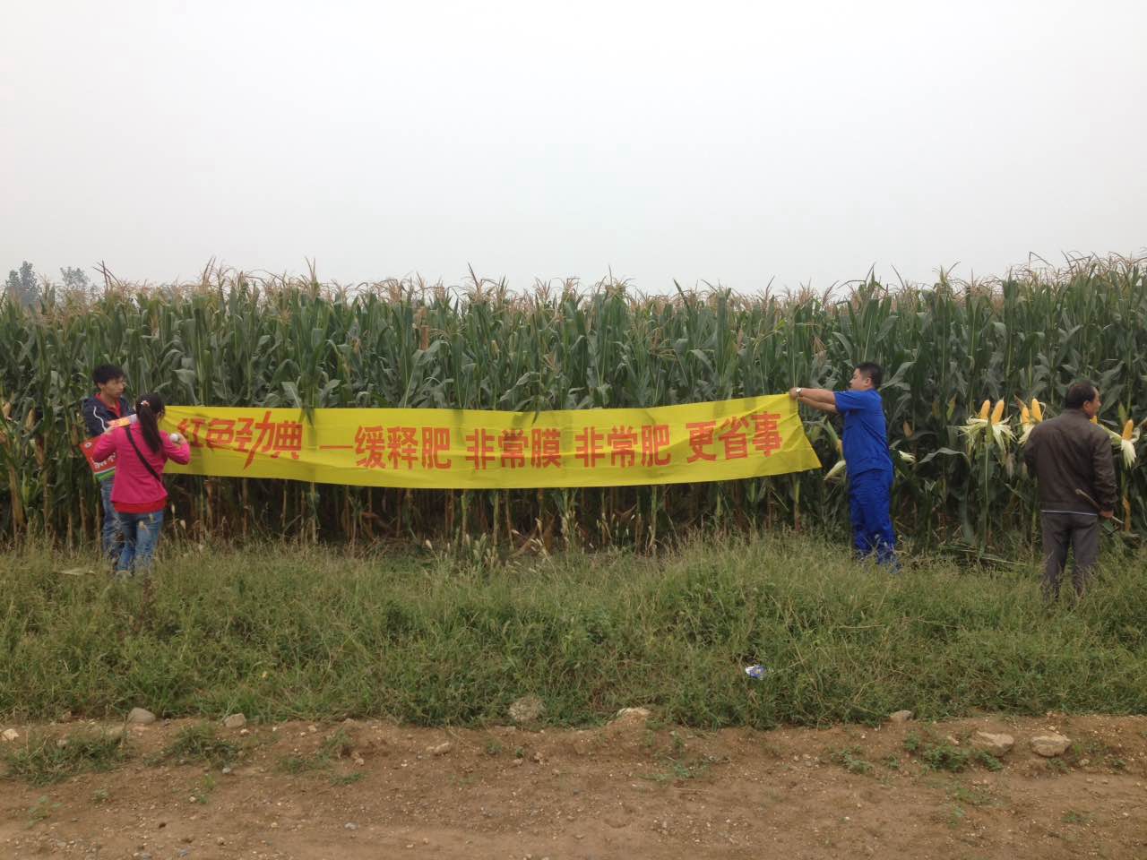 猫咪社区官网玉米缓释肥，丰收有保障！