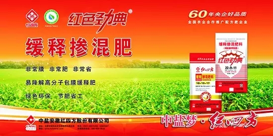 猫咪社区官网缓释肥广告宣传彩页