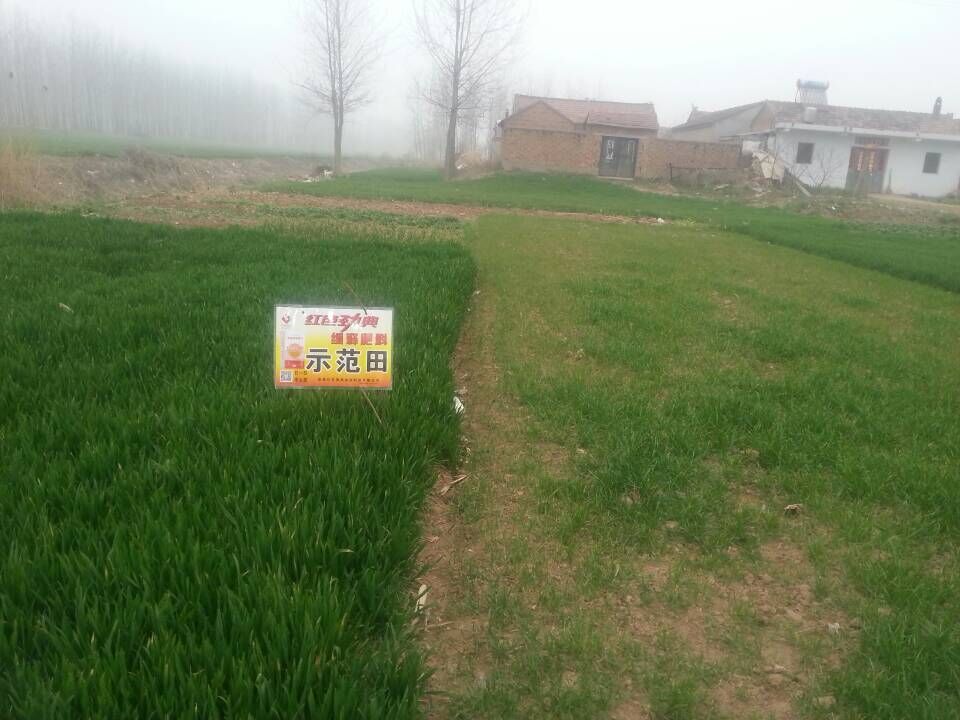 缓释尿素在黄色猫咪网站作物上表现不错 缓释尿素在黄色猫咪网站作物上表现不错