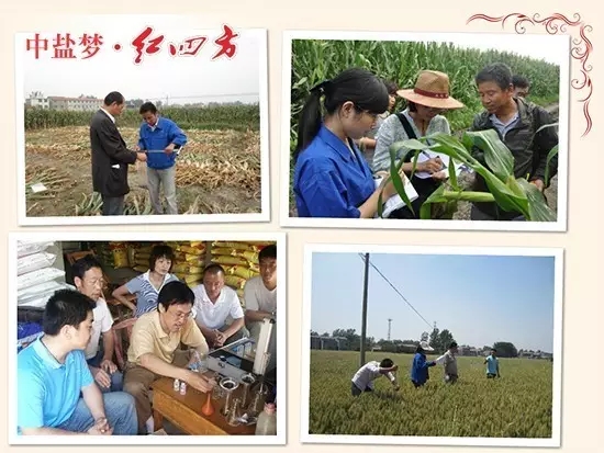 红四方农化服务团队