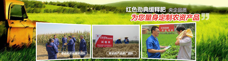 猫咪社区官网，冠军品质，五星服务